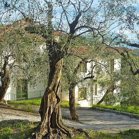 Borgo Verde Ili01374 Cye